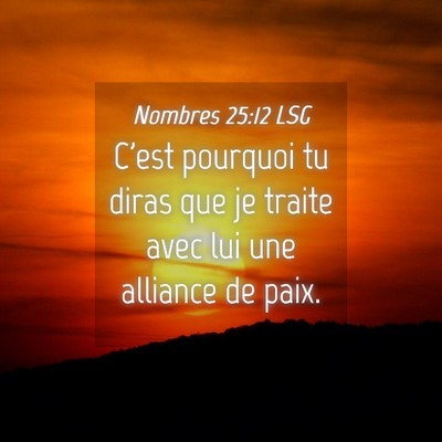 Picture 04 - Nombres 25:12 LSG - C'est pourquoi tu diras que je traite avec lui - Bible Verse Picture