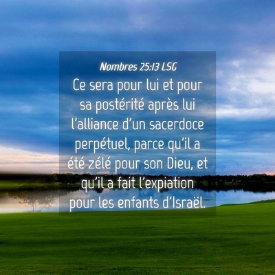 Picture 04 - Nombres 25:13 LSG - Ce sera pour lui et pour sa postérité après - Bible Verse Picture