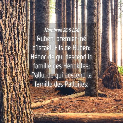 Picture 04 - Nombres 26:5 LSG - Ruben, premier-né d'Israël. Fils de Ruben: - Bible Verse Picture