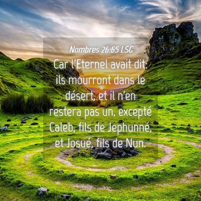 Picture 04 - Nombres 26:65 LSG - Car l'Eternel avait dit: ils mourront dans le - Bible Verse Picture