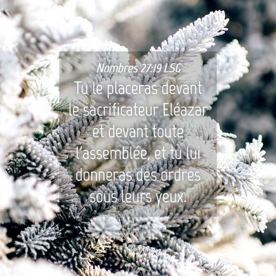 Picture 04 - Nombres 27:19 LSG - Tu le placeras devant le sacrificateur Eléazar - Bible Verse Picture