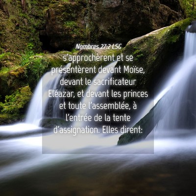 Picture 04 - Nombres 27:2 LSG - s'approchèrent et se présentèrent devant - Bible Verse Picture