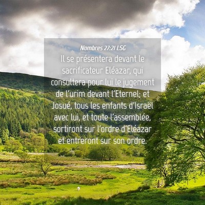 Picture 04 - Nombres 27:21 LSG - Il se présentera devant le sacrificateur - Bible Verse Picture