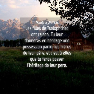 Picture 04 - Nombres 27:7 LSG - Les filles de Tselophchad ont raison. Tu leur - Bible Verse Picture