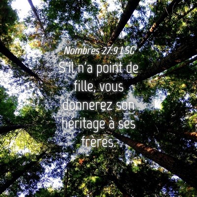 Picture 04 - Nombres 27:9 LSG - S'il n'a point de fille, vous donnerez son - Bible Verse Picture