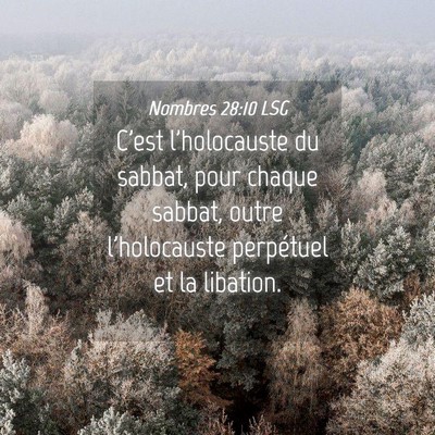 Picture 04 - Nombres 28:10 LSG - C'est l'holocauste du sabbat, pour chaque sabbat, - Bible Verse Picture