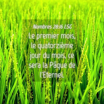 Picture 04 - Nombres 28:16 LSG - Le premier mois, le quatorzième jour du mois, ce - Bible Verse Picture