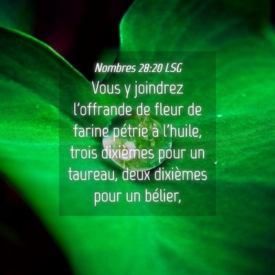 Picture 04 - Nombres 28:20 LSG - Vous y joindrez l'offrande de fleur de farine - Bible Verse Picture
