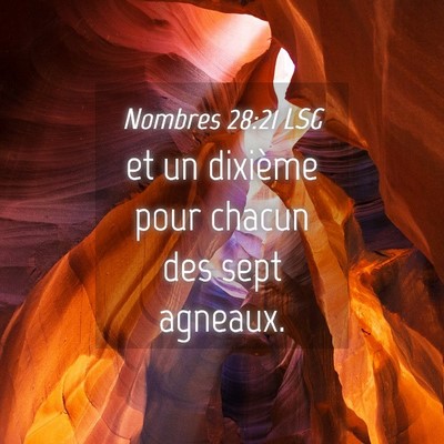 Picture 04 - Nombres 28:21 LSG - et un dixième pour chacun des sept - Bible Verse Picture
