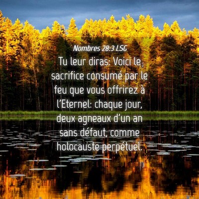 Picture 04 - Nombres 28:3 LSG - Tu leur diras: Voici le sacrifice consumé par le - Bible Verse Picture