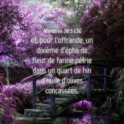 Picture 04 - Nombres 28:5 LSG - et, pour l'offrande, un dixième d'épha de fleur - Bible Verse Picture
