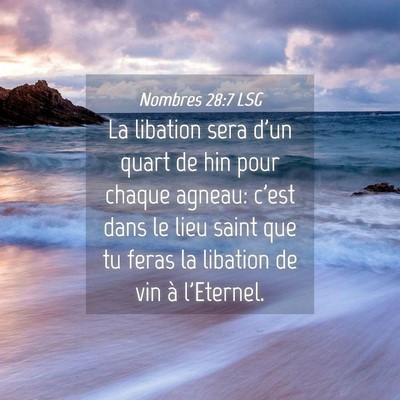 Picture 04 - Nombres 28:7 LSG - La libation sera d'un quart de hin pour chaque - Bible Verse Picture