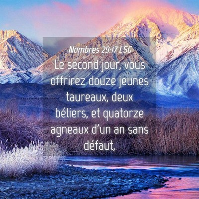 Picture 04 - Nombres 29:17 LSG - Le second jour, vous offrirez douze jeunes - Bible Verse Picture