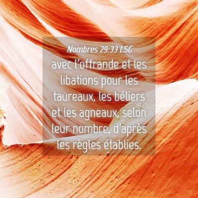 Picture 04 - Nombres 29:33 LSG - avec l'offrande et les libations pour les - Bible Verse Picture