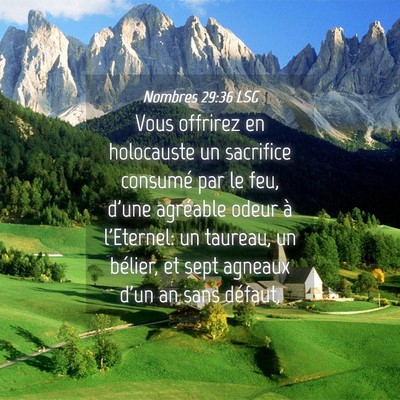 Picture 04 - Nombres 29:36 LSG - Vous offrirez en holocauste un sacrifice consumé - Bible Verse Picture