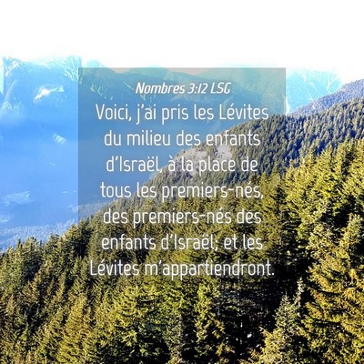 Picture 04 - Nombres 3:12 LSG - Voici, j'ai pris les Lévites du milieu des - Bible Verse Picture