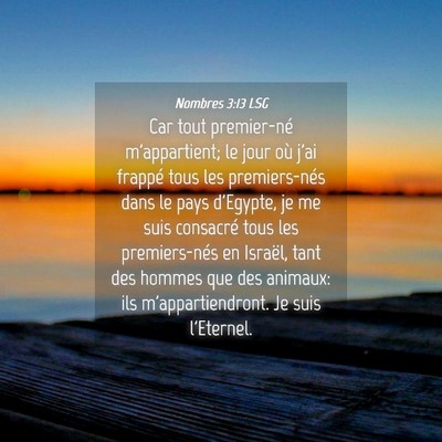 Picture 04 - Nombres 3:13 LSG - Car tout premier-né m'appartient; le jour où - Bible Verse Picture