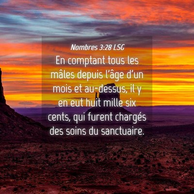 Picture 04 - Nombres 3:28 LSG - En comptant tous les mâles depuis l'âge d'un - Bible Verse Picture