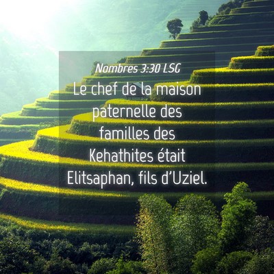 Picture 04 - Nombres 3:30 LSG - Le chef de la maison paternelle des familles des - Bible Verse Picture