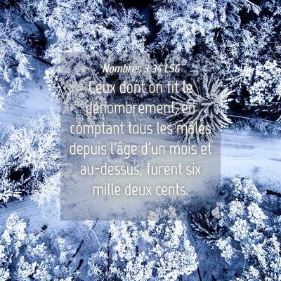 Picture 04 - Nombres 3:34 LSG - Ceux dont on fit le dénombrement, en comptant - Bible Verse Picture