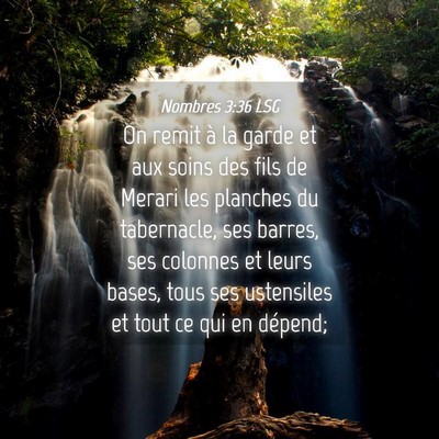 Picture 04 - Nombres 3:36 LSG - On remit à la garde et aux soins des fils de - Bible Verse Picture