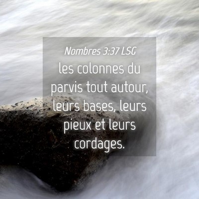 Picture 04 - Nombres 3:37 LSG - les colonnes du parvis tout autour, leurs bases, - Bible Verse Picture