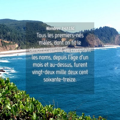 Picture 04 - Nombres 3:43 LSG - Tous les premiers-nés mâles, dont on fit le - Bible Verse Picture