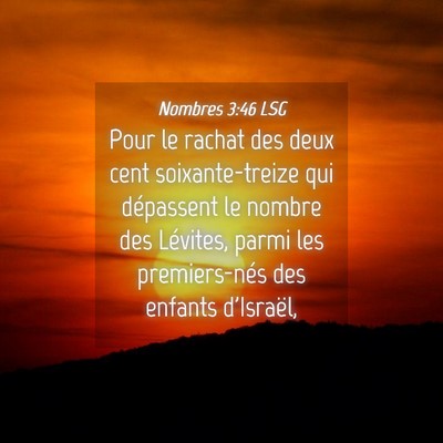 Picture 04 - Nombres 3:46 LSG - Pour le rachat des deux cent soixante-treize qui - Bible Verse Picture