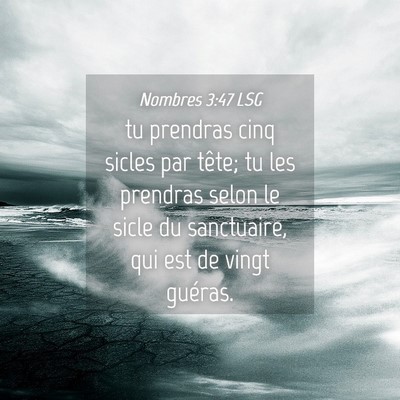Picture 04 - Nombres 3:47 LSG - tu prendras cinq sicles par tête; tu les - Bible Verse Picture