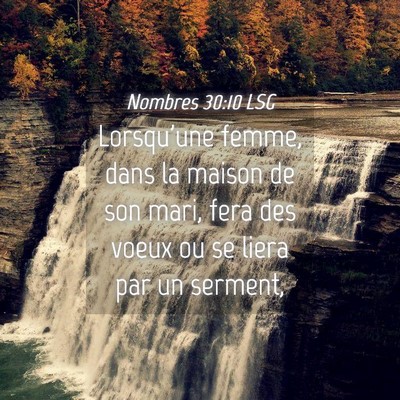 Picture 04 - Nombres 30:10 LSG - Lorsqu'une femme, dans la maison de son mari, - Bible Verse Picture