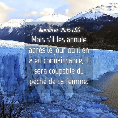 Picture 04 - Nombres 30:15 LSG - Mais s'il les annule après le jour où il en a - Bible Verse Picture