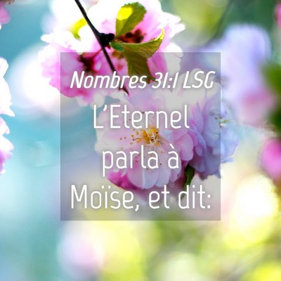 Picture 04 - Nombres 31:1 LSG - L'Eternel parla à Moïse, et - Bible Verse Picture