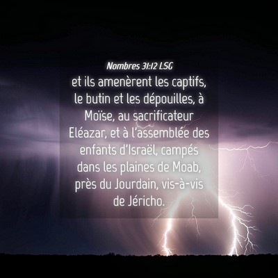 Picture 04 - Nombres 31:12 LSG - et ils amenèrent les captifs, le butin et les - Bible Verse Picture