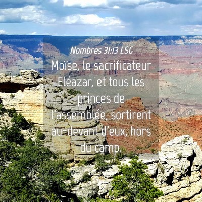Picture 04 - Nombres 31:13 LSG - Moïse, le sacrificateur Eléazar, et tous les - Bible Verse Picture