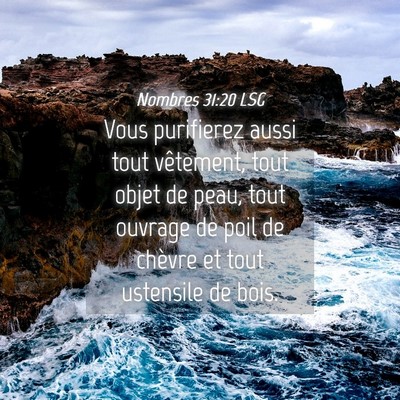 Picture 04 - Nombres 31:20 LSG - Vous purifierez aussi tout vêtement, tout objet - Bible Verse Picture
