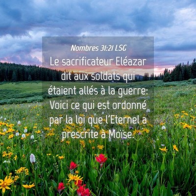 Picture 04 - Nombres 31:21 LSG - Le sacrificateur Eléazar dit aux soldats qui - Bible Verse Picture