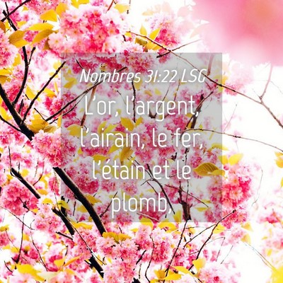 Picture 04 - Nombres 31:22 LSG - L'or, l'argent, l'airain, le fer, l'étain et le - Bible Verse Picture