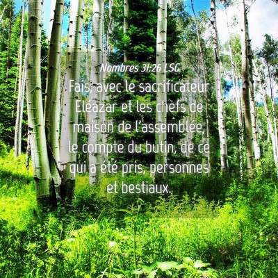 Picture 04 - Nombres 31:26 LSG - Fais, avec le sacrificateur Eléazar et les chefs - Bible Verse Picture