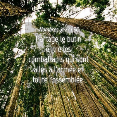 Picture 04 - Nombres 31:27 LSG - Partage le butin entre les combattants qui sont - Bible Verse Picture