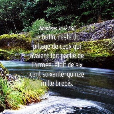 Picture 04 - Nombres 31:32 LSG - Le butin, reste du pillage de ceux qui avaient - Bible Verse Picture