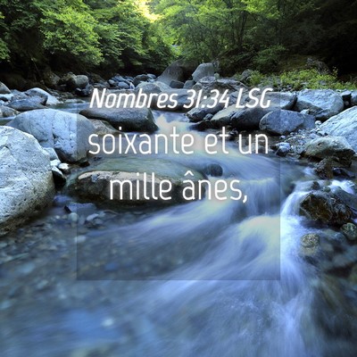 Picture 04 - Nombres 31:34 LSG - soixante et un mille - Bible Verse Picture