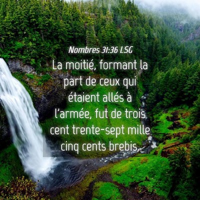 Picture 04 - Nombres 31:36 LSG - La moitié, formant la part de ceux qui étaient - Bible Verse Picture