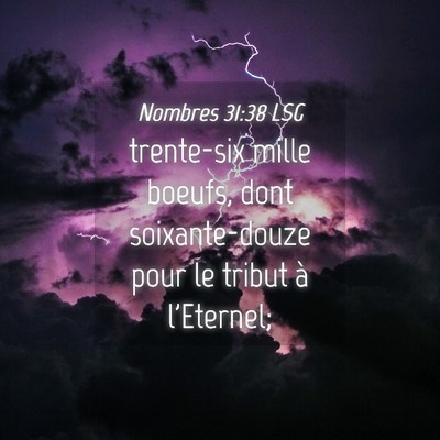 Picture 04 - Nombres 31:38 LSG - trente-six mille boeufs, dont soixante-douze pour - Bible Verse Picture