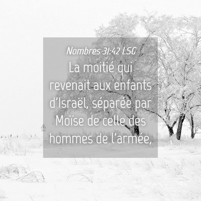 Picture 04 - Nombres 31:42 LSG - La moitié qui revenait aux enfants d'Israël, - Bible Verse Picture