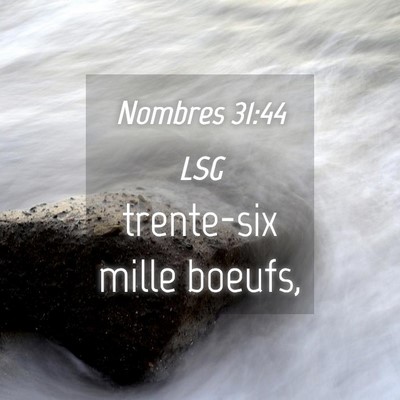 Picture 04 - Nombres 31:44 LSG - trente-six mille - Bible Verse Picture