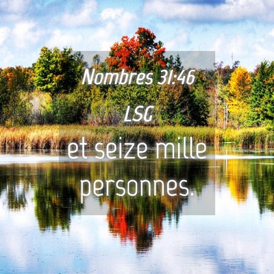 Picture 04 - Nombres 31:46 LSG - et seize mille - Bible Verse Picture