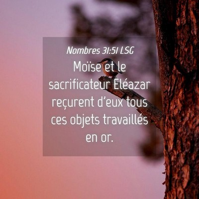 Picture 04 - Nombres 31:51 LSG - Moïse et le sacrificateur Eléazar reçurent - Bible Verse Picture