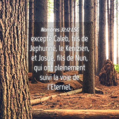 Picture 04 - Nombres 32:12 LSG - excepté Caleb, fils de Jephunné, le Kenizien, - Bible Verse Picture