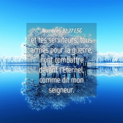 Picture 04 - Nombres 32:27 LSG - et tes serviteurs, tous armés pour la guerre, - Bible Verse Picture