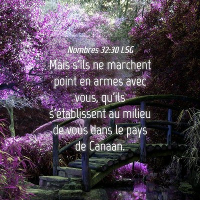 Picture 04 - Nombres 32:30 LSG - Mais s'ils ne marchent point en armes avec vous, - Bible Verse Picture
